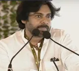Nagababu must effectively fulfill the greenery resolution says Pawan Kalyan
