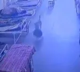 Strange theft in hospital Dog steals bag with 4 lakh worth jewelry viral video
