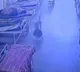 Strange theft in hospital Dog steals bag with 4 lakh worth jewelry viral video
