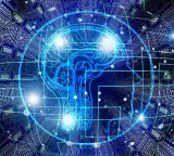 Stanford University researchers find new hope for chronic pain with brain signals discovery