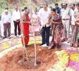 Nagababu slams previous government for cutting trees instead of planting