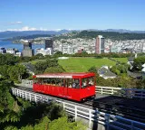 New Zealand honeymoon with perfect planning couple completes trip under 6 lakhs