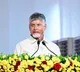Chandrababu Naidu slams Jagan over dual stand on unanimous elections