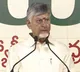 Chandrababu Naidu says former minister daughter-in-law was asked to convert