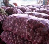 TN govt plans to sell onions at subsidised rates through ration shops