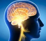 Want your brain to work sharply Include these 5 foods in your daily diet
