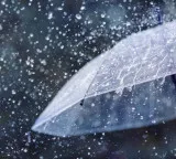 Telangana Active Monsoons and Warnings for Several Districts