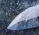 Telangana Active Monsoons and Warnings for Several Districts