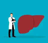 Why liver does not recover after quitting alcohol scientists reveal key secret