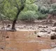 Over 20 missing in US Grand Canyon flash floods; search Ops on
