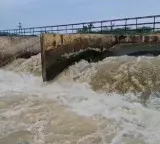Godavari Waters Reach Anakapalli: Chandrababu to Inaugurate Historic Release on September 2