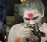 Lady Aghori creates sensation by eating human flesh in cemetery after jail release
