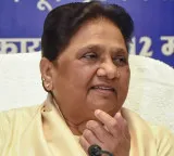 Mayawati says Akash Anand lacks maturity for major BSP leadership roles