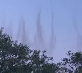 Hyderabad viral video shows massive mosquito swarm looking like smoke