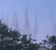 Hyderabad viral video shows massive mosquito swarm looking like smoke