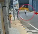 Stray dog saves woman from attempted sexual assault in Coimbatore shocking CCTV video goes viral