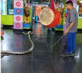 12 foot King Cobra in Odisha temple hour long tension