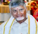 Andhra Pradesh Governor, CM greet people on Krishna Janmashtami