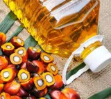 Palm Oil and heart health risks what experts really say