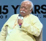 Bhagwat’s WSJ ad evokes Hindu pride