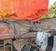 Kerala Road Accident 8 Tamil engineering students killed in tragic road mishap