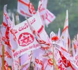 Pawan Kalyan Strategy For Local Body Elections And Constituency Committees