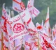 Pawan Kalyan Strategy For Local Body Elections And Constituency Committees