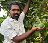 PM Modi praises Kadapa farmer Avocado cultivation success story of young farmer Varadaraj