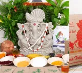Aaradhya completes ten years of trust offering complete Vinayaka Chaturthi puja kits with clay idol and 21 types of leaves