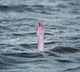Search on for two missing youths in Veligonda feeder canal in Andhra