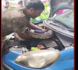 Mumbai car bonnet 7 foot python video