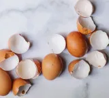 Are you throwing eggshells in the trash if you know these uses you will never throw them away