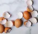 Are you throwing eggshells in the trash if you know these uses you will never throw them away