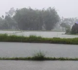 Heavy Rain in Bapatla District Chinaganjam Inundated