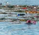 Vera Wang Hawaii student discovers plastic eating fungus in coconut waste