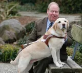 9 11 attack guide dog saved blind man from 78th floor