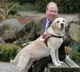9 11 attack guide dog saved blind man from 78th floor