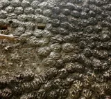 Shocking Smartphone ordered but cow dung delivered in parcel