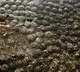 Shocking Smartphone ordered but cow dung delivered in parcel
