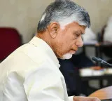 Chandrababu Naidu demands results not reviews from Andhra Pradesh officials