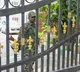 Satish Jarkiholi ED raids conclude after 37 hours with 3 crore cash seized