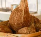 Why you should not carry a coconut in a train here is the real reason