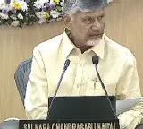 Chandrababu Naidu orders speed in administration and warns against file delays