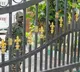 K'taka: ED searches at Satish Jarkiholi’s properties end after 37 hours, minister says cash found is his
