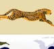 American Cheetah mystery solved by new research on extinct species