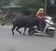 Rishikesh shocking incident watch this video to understand why wearing a helmet is important