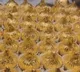 Gold Plated Modaks For Lord Ganesha Price Will Shock You
