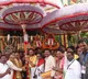 Chennai umbrellas for Srivari Garuda Seva is a 190 year old tradition