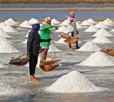 Salt production crisis in India and the reasons behind it