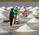 Salt production crisis in India and the reasons behind it